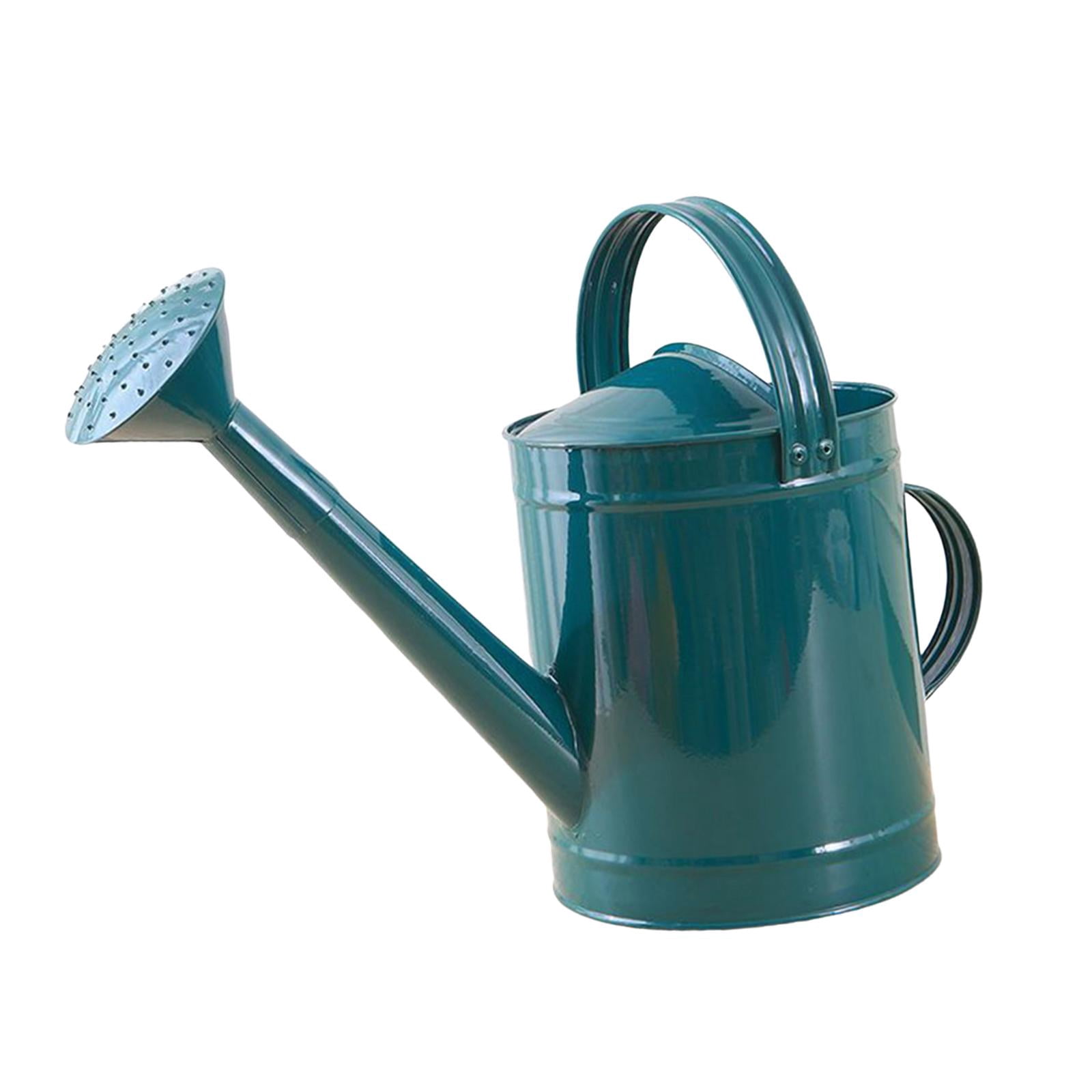 YWMJZEU 4L Watering Can with Handle, Leak, Removable Spout, Garden Tool, Rust-Resistant, blue