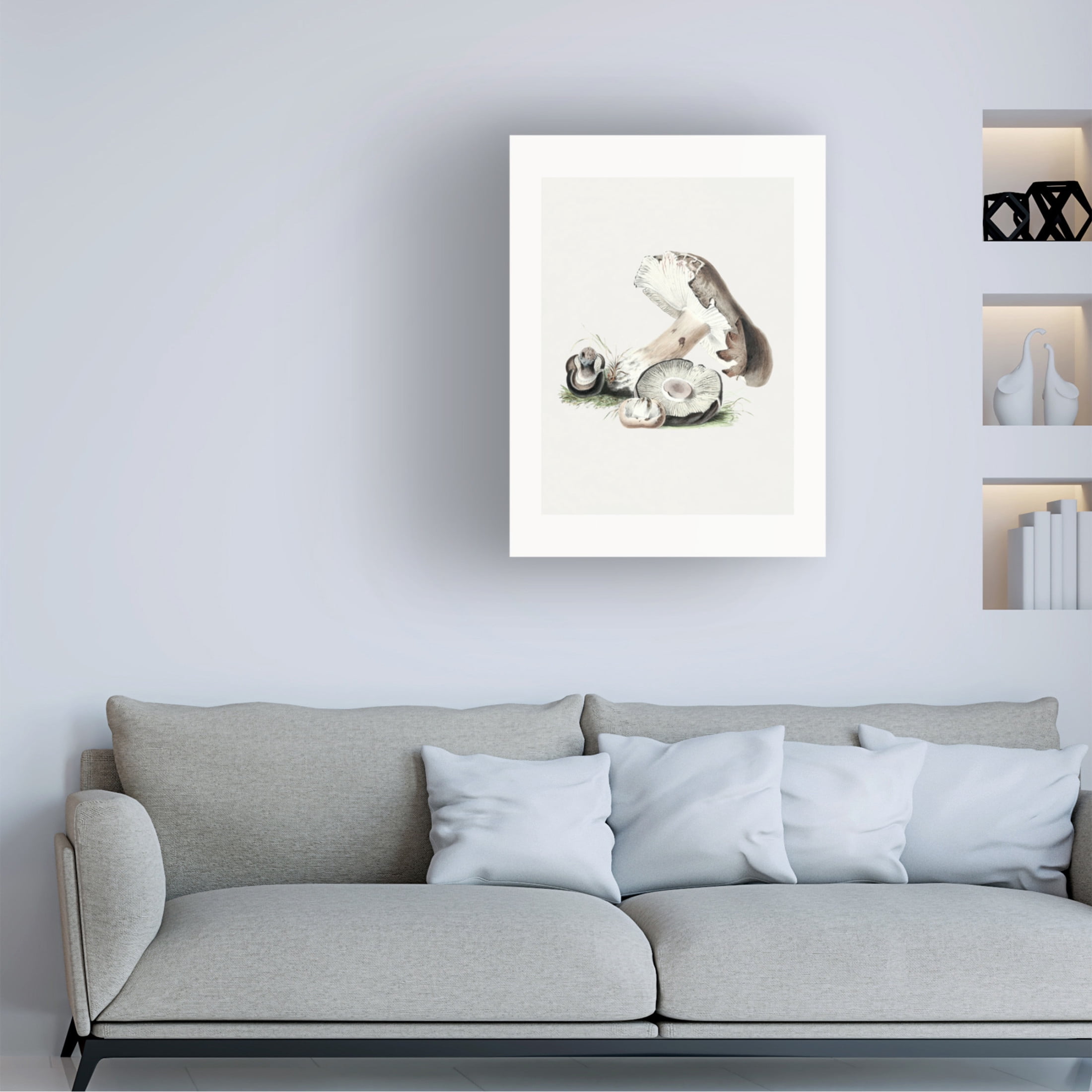 Trademark Fine Art Pictufy  Vintage Agaricus Augustus Mushroom 50x70 Canvas Wall Art