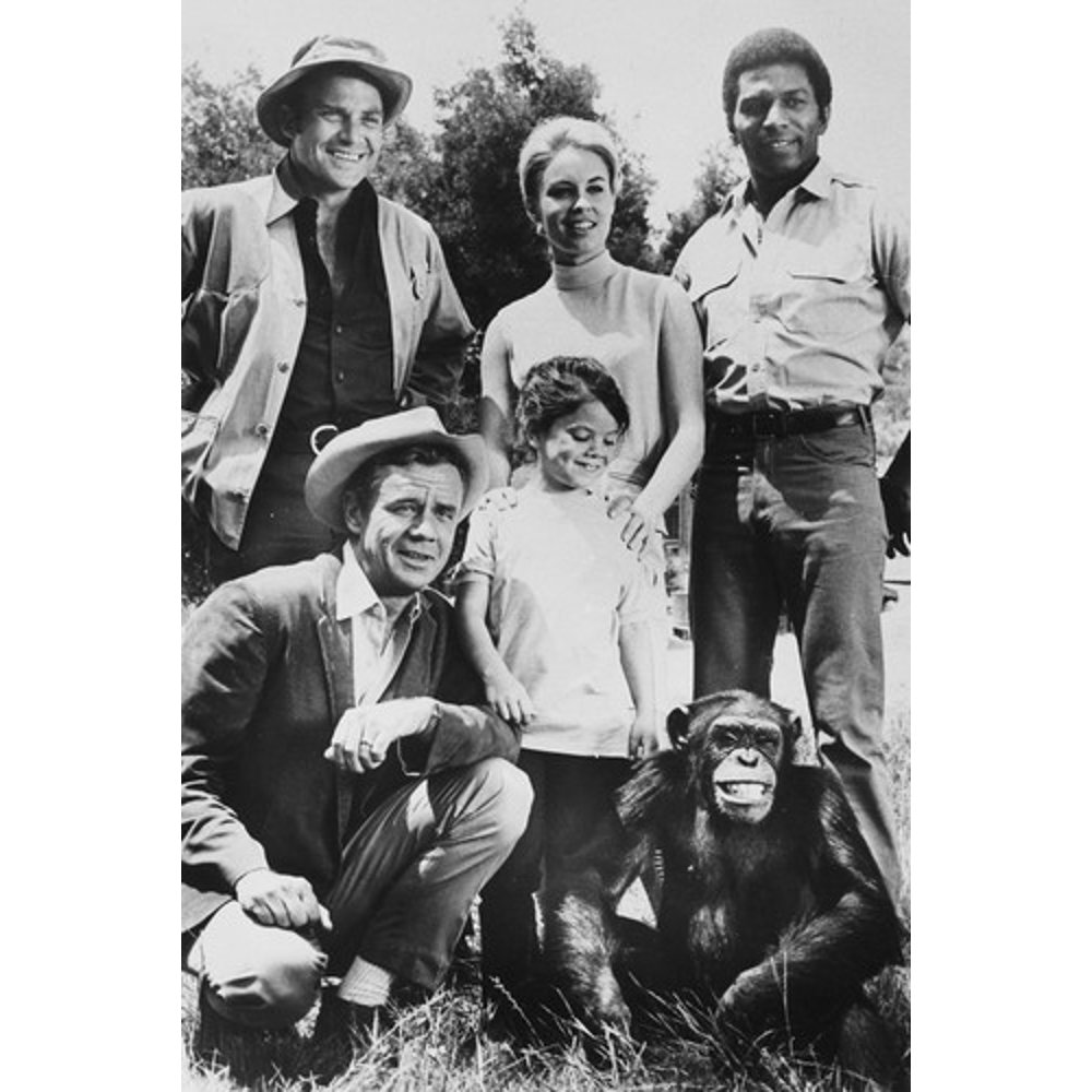 Daktari Marshall Thompson Cheryl Miller Erin Moran Yale Summers Hari