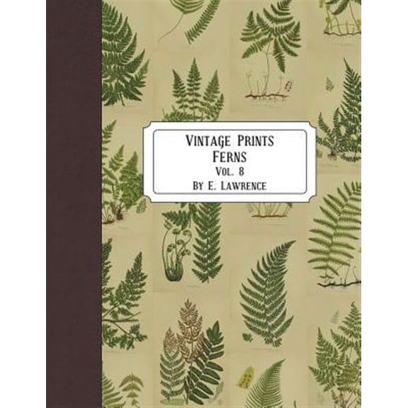 Vintage Prints: Ferns: Vol. 8  Paperback  1721524460 9781721524464 E. Lawrence