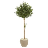4-5-6' Potted Outdoor Palm Trees 500CL - Walmart.com