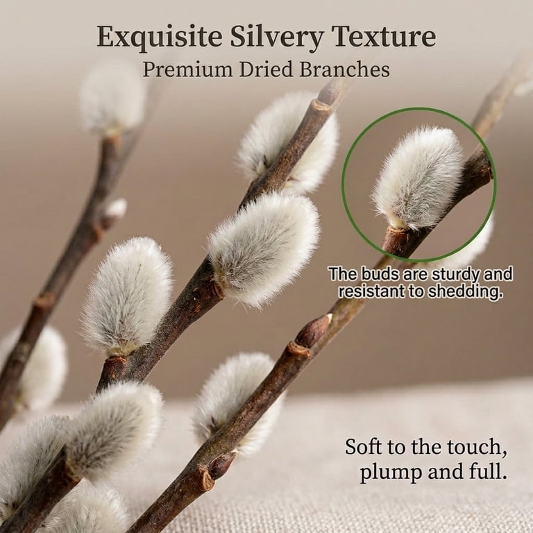 Nogis Natural Preserved Dried Pussywillow Branches for Vases, 20 Stems Real Willows, 15.7" Snow Pussywillows, Dried Flowers for Indoor and Outdoor