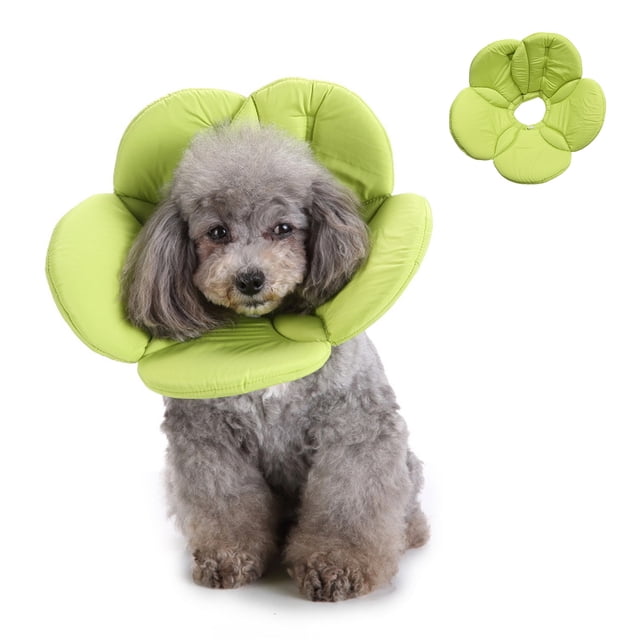 Cône pour Chien après Chirurgie, Collier de Protection, Collier pour Chien, Collier de Récupération pour Animaux de Compagnie pour Chiens et Chats (Fleur Verte)