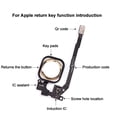 thumbnail image 4 of Xinyolin Home Back Button Key No Touch ID Replacement Part for Apple iPhone 6 7 8 Plus, 4 of 8