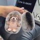 thumbnail image 5 of Cute Hedgehog Rabbit Fur Key Chains Cartoon plush animal stuffed Plush Toy Pendant Kids Bag Ornaments Women Car Keyring Gift, 5 of 5