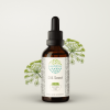 HerbEra Dill Seed Tincture, Herbal Dietary Supplement for Digestive Support, Dill Seed (Anethum graveolens) Dried Seed Extract, Natural, Alcohol-Free, Drops 2 oz