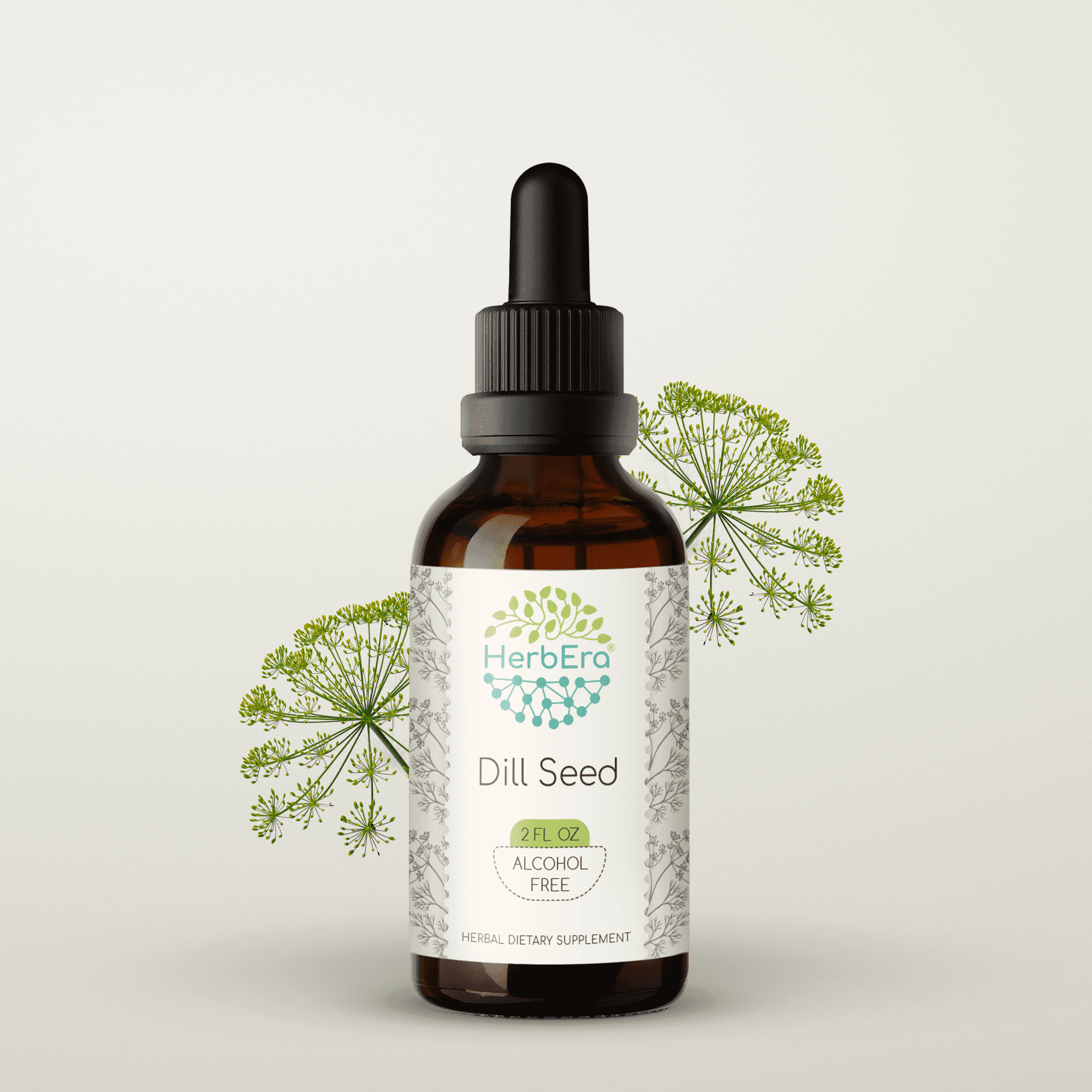 HerbEra Dill Seed Tincture, Herbal Dietary Supplement for Digestive Support, Dill Seed (Anethum graveolens) Dried Seed Extract, Natural, Alcohol-Free, Drops 2 oz