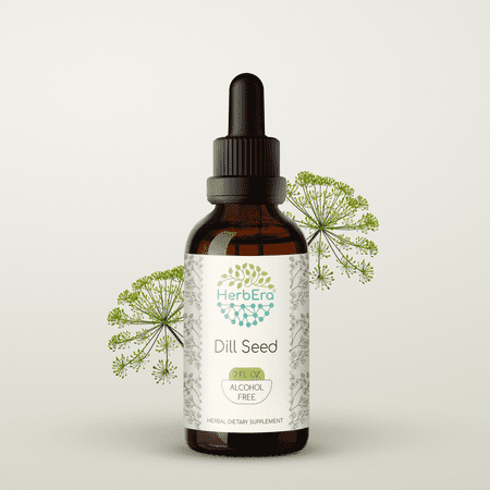 HerbEra Dill Seed Tincture, Herbal Dietary Supplement for Digestive Support, Dill Seed (Anethum graveolens) Dried Seed Extract, Natural, Alcohol-Free, Drops 2 oz
