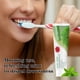 thumbnail image 5 of Toothpaste Whitening Toothpaste Sensitive Toothpaste Fluoride Free Toothpaste Travel Size Hot Sale Peppermint Toothpaste, Teeth Whitening Agent, Whitening And Stain Removal Toothpaste, Whitening Tooth, 5 of 9