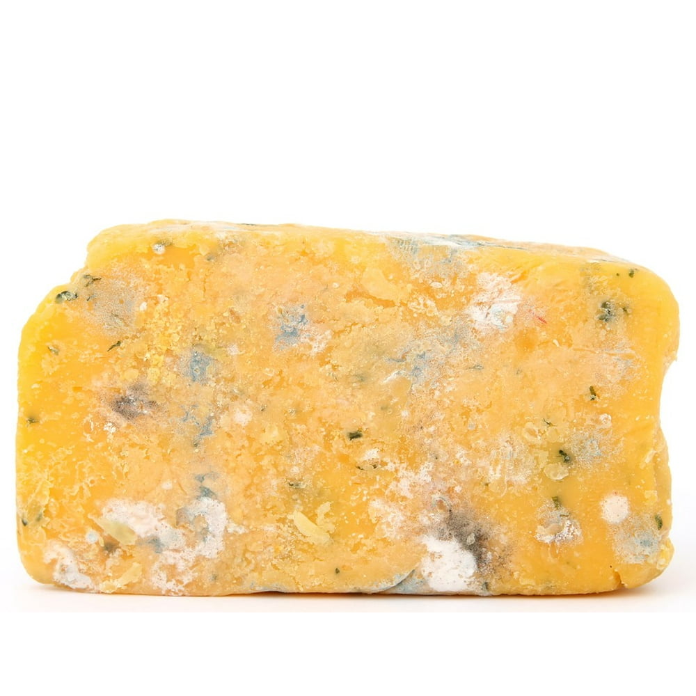 Blue Bug Cheese Brie Bacteria Biology Age Bio24 Inch By 36 Inch