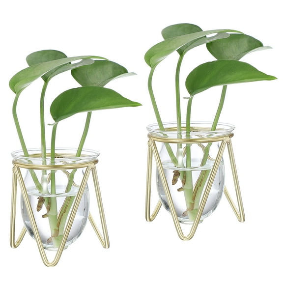 Uxcell Glass Plant Terrarium with Metal Stand, 2 Pcs Desktop Air Plant Bulb Vase for Propagation Hydroponics Home Garden Office Decoration, Transparent/Gold