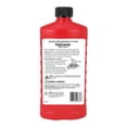 Sterno Instant Flame, AllWeather, Fire Starter Gel 16oz Bottle