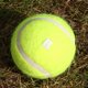 thumbnail image 5 of Tmvgtek Pelota De Tenis De Entrenamiento De Lana De Autoestudio De Alta Elasticidad Con Cuerda Desmontable, 5 of 8