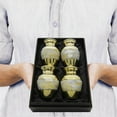 thumbnail image 6 of Trupoint Memorials Mother of Pearl Small Keepsake Urns for Human Ashes - Set of 4 - to Remember Your Loved One Lost - with Box and Velvet Bag, 6 of 7