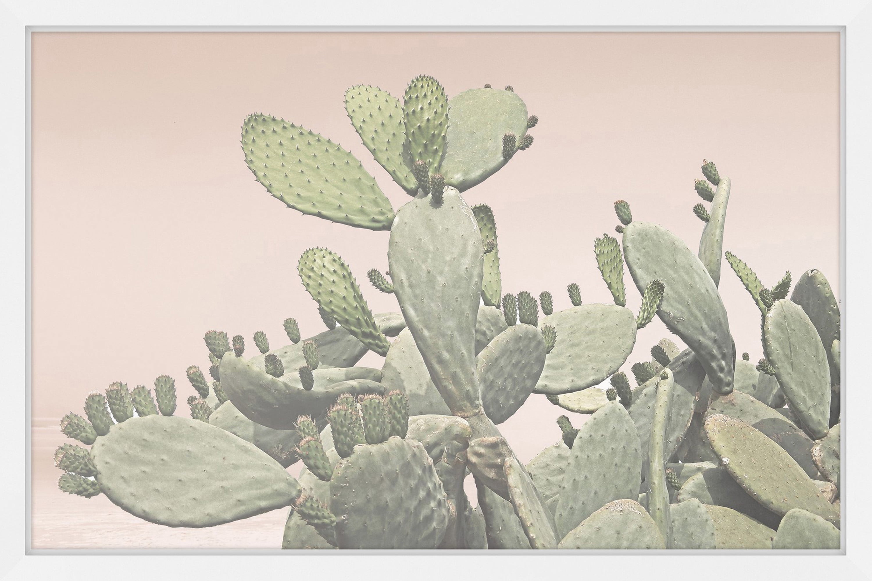 Cactus Bunch Framed Painting Print