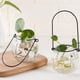 thumbnail image 3 of Planta Hidropónica Decoración Del Hogar Calabaza Florero De Cristal Colgando Cesta Con Cadena Soledad Jardinera hidropónica colgante, 3 of 10