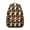 Citrus-14, variant on Roaring Tiger Print Student School Backpack for Student Jungle Wild Bengal Stripes Pattern Animal Lover Art Tribal Face Design Bookbag