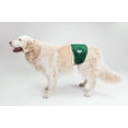 thumbnail image 2 of Bande de Ventre pour Chien Lavable wondersTM, 2 of 4
