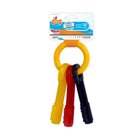 Nylabone Just for Puppies Teething Puppy Keys, Bacon Chew Toy,