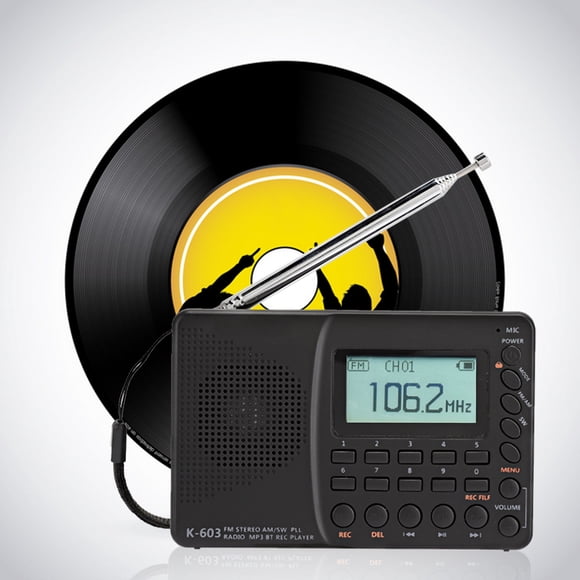 FM Radio, Portable Elderly Radio Large Capacity Automatical for Recording