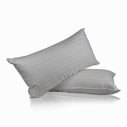 Superior 100 Down 700 Fill Power Hungarian White Goose Down Pillow