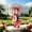 J, variant on Lzobxe Porch Goose Clothes, Outdoor Garden Gooses Clothes for Cement or Plastic Statue, Yard Costume Set for Patio Lawn Entrance Decoration