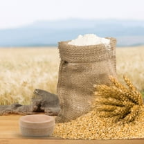 FESTFENDS Manual Hand Grain Mill Multi Functional Grinding Tool 1Pcs