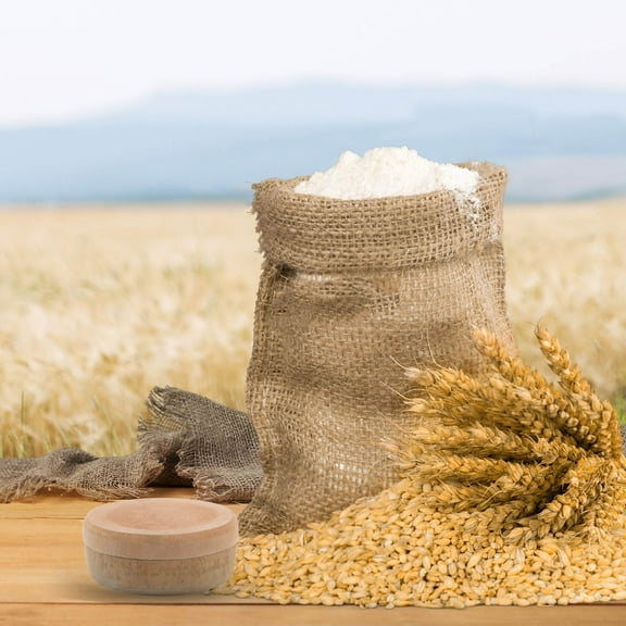 FESTFENDS Manual Hand Grain Mill Multi Functional Grinding Tool 1Pcs