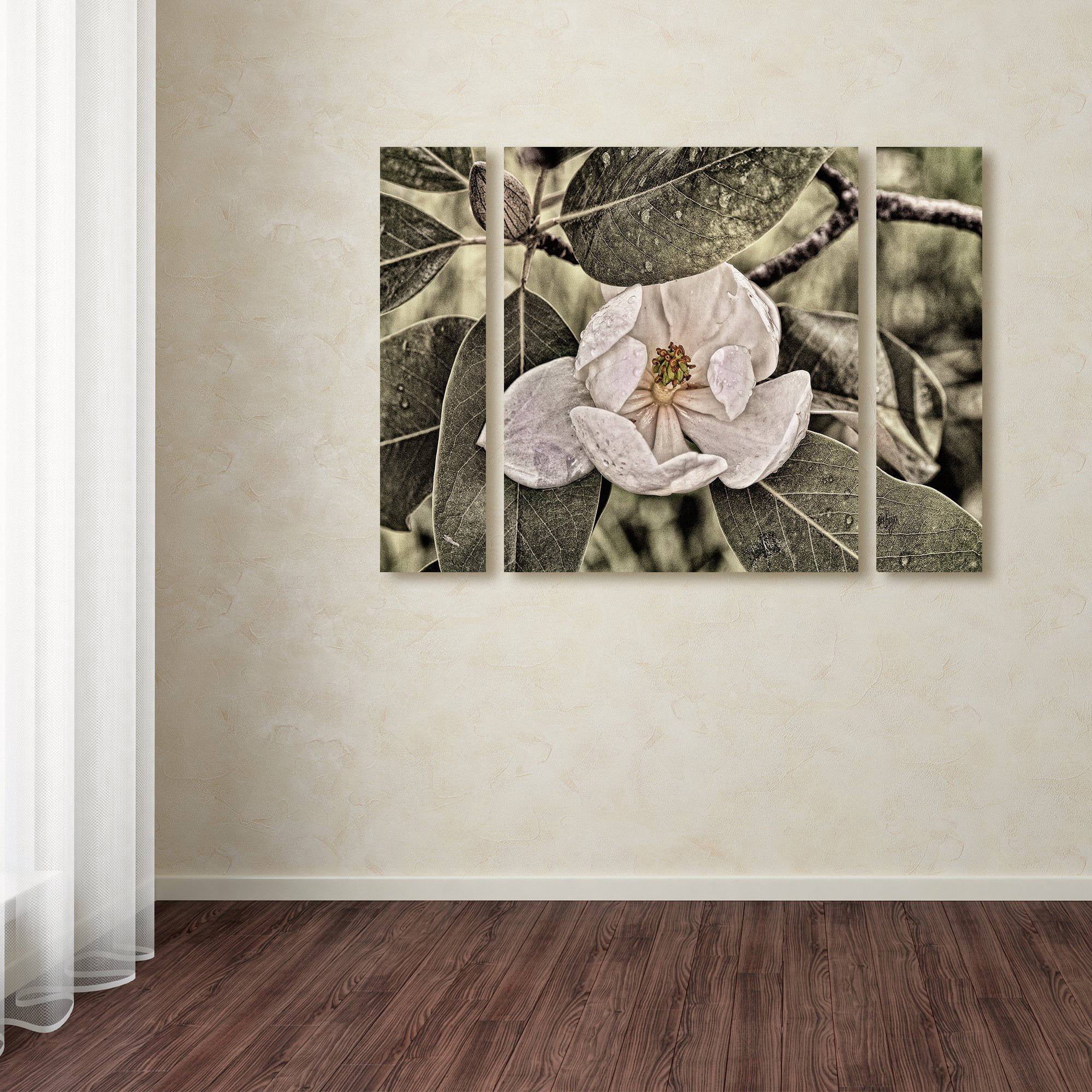 Lois Bryan "White Magnolia" Multi Panel Art Set