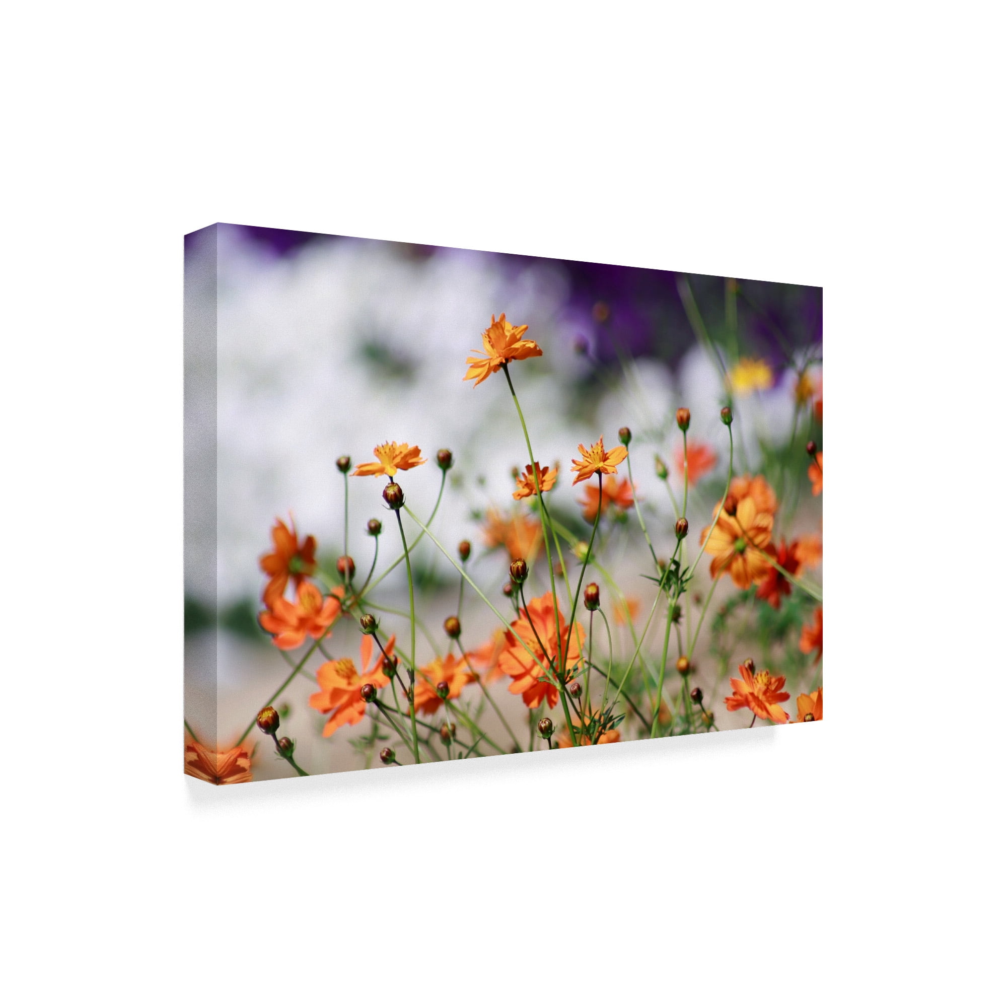 Trademark Fine Art 'Garden Conversations' Canvas Art by Incredi