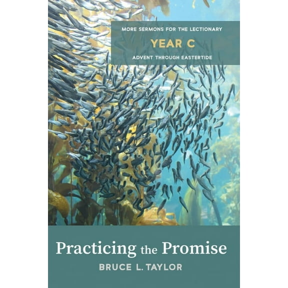 Practicing the Promise: More Sermons for the Lectionary, Year C, Advent through Eastertide (Paperback)