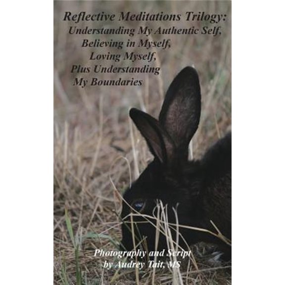 Pre-Owned Reflective Meditations Trilogy: Understanding My Authentic Self, Believing in Myself, Loving Myself, Plus Understanding My Boundaries (Paperback)