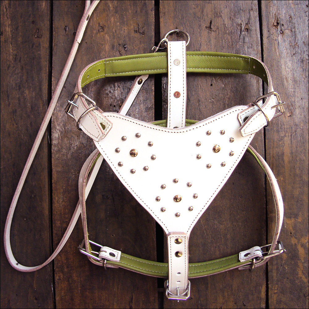 Medium Leather Dog Harness White Genuine With Leash Hilason Walmart