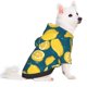 thumbnail image 2 of Fotbe Lemon Sudadera con Estampado para Perros Pequeños – Suéter con Capucha para Mascotas, Tela Suave de Forro Polar con Bolsillo-Small, 2 of 7