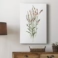 thumbnail image 5 of Dainty Botanical II Premium Gallery Wrapped Canvas - Ready to Hang, 5 of 9