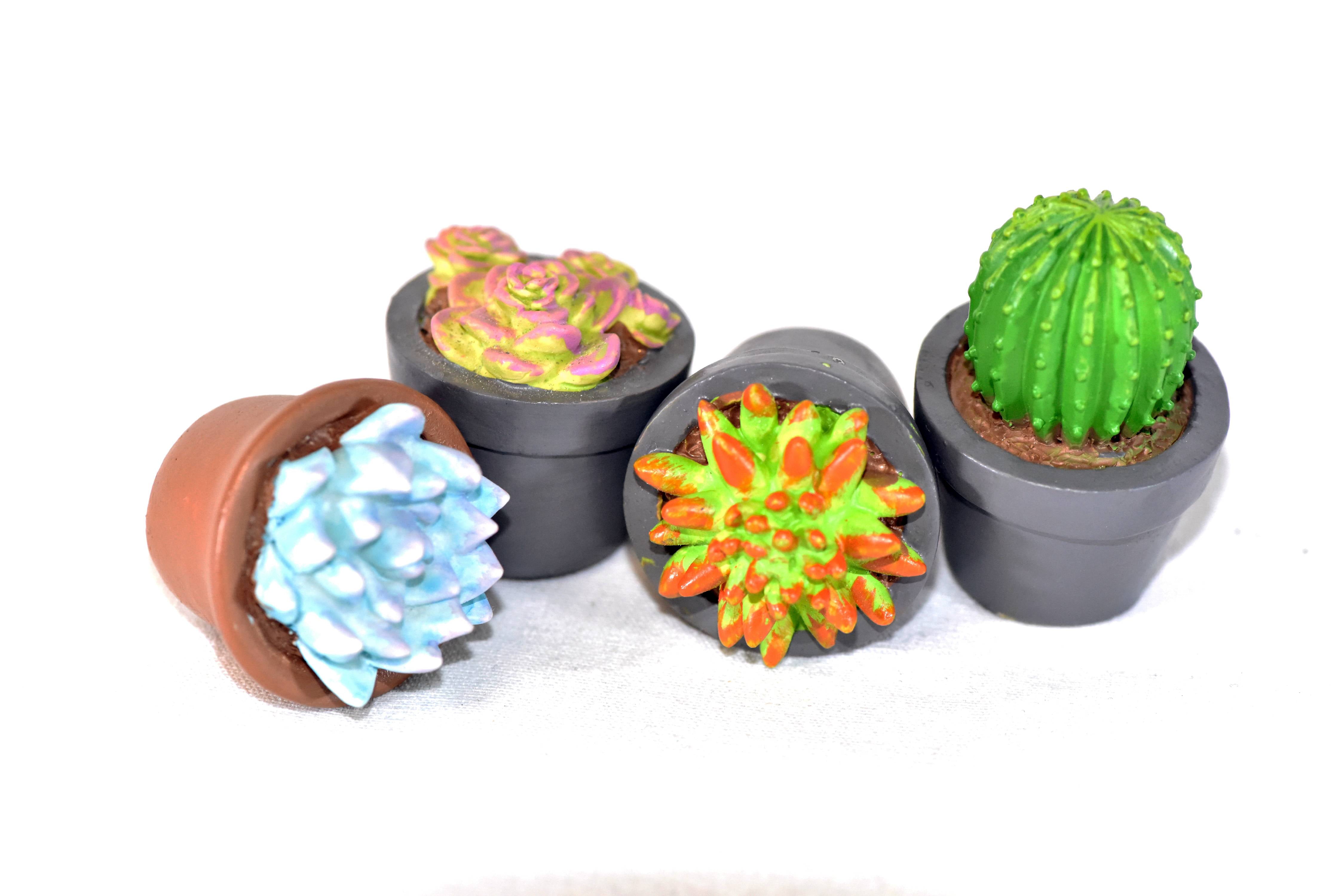 4-Pieces Mini Gardenn Fairy Garden Miniature Succulent Plants Set