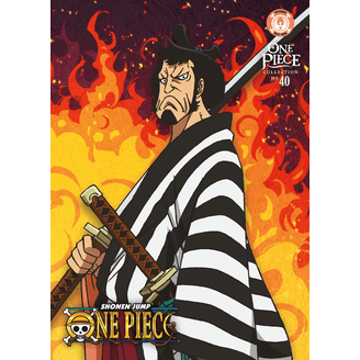 One Piece: Season 11 Voyage 9 (Blu-ray + DVD), Funimation Prod
