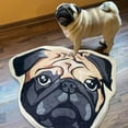 thumbnail image 1 of Descuentos Relámpago, Alfombras con forma de mascota Alfombras con forma de imitación flocada Akmoler, 1 of 4