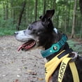 thumbnail image 1 of Airtag Tracking Cover For Dog Positioning Training Collar Nylon Pet Collar, 1 of 4