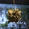 thumbnail image 3 of Things2Die4 Set of 2 Coastal Hanging Decor: 9-inch Oyster Shell Sphere Ornament, 3 of 6