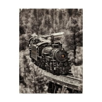 Trademark Fine Art 'Train Arrival III' Canvas Art by David Drost