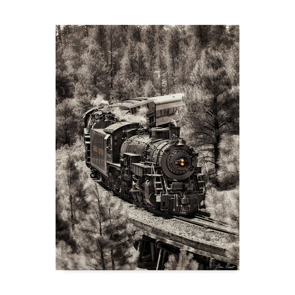 Trademark Fine Art 'Train Arrival III' Canvas Art by David Drost