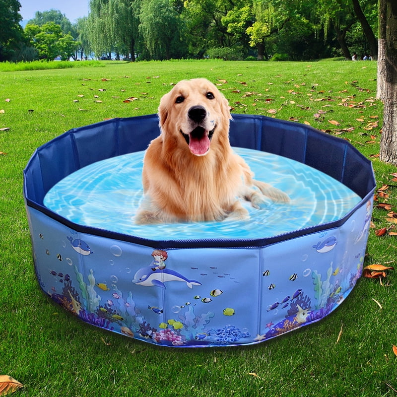 Collapsible Pet Dog Bath Pool, Kiddie Pool Hard Plastic Foldable