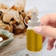 thumbnail image 4 of 12 Piezas Mini Botellas Exprimibles de Salsa Pequeñas Botellas de Plástico para Líquidos Botellas Exprimibles de Condimentos Botella de Mostaza Ketchup Contenedor de Aderezo para Ensaladas, 4 of 8