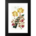 thumbnail image 2 of Anonymous 12x18 Black Modern Framed Museum Art Print Titled - Vanda Tricolor Flavescens, Vanda Tricolor Formosa (1852-1861), 2 of 5