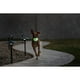 thumbnail image 2 of Pelota Saltarina para Perros Jolly Pets Jolly Jumper Grande 4", 2 of 5