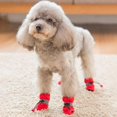 thumbnail image 3 of PENGXAING Dog Boots for Small Medium Dogs and Puppy Snow Winter Shoes Paw Protector, 3 of 9
