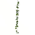 thumbnail image 1 of Vickerman VICK-FV196756 56" Green Hop Leaf Garland 2/Pk, 1 of 1
