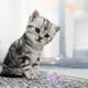 thumbnail image 4 of 15Pcs Juguete interactivo para gatos Bola de papel de color caramelo Juguete para gatos Bolas de papel sonoras Juguete de ejercicio para gatos y gatitos, 4 of 6