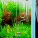 thumbnail image 5 of 4x de superficie de acuario Φ13 Tubería de salida para Gloria Skimmer de superficie para acuarios, 5 of 9